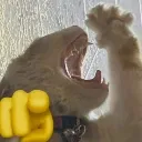 emoji_181