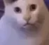 huh huh