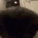 BOOPS