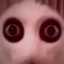 cat_pain
