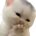 Heheheeeee Discord Emoji