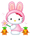 000hellokittybunny