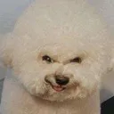 heheh