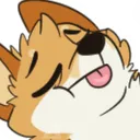 dingo_sleep