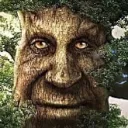 21313123131312313131