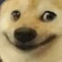 hehe_doge