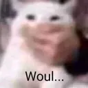 would
