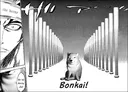 bonkai