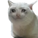 Cry