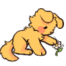 A small yellow puppy with fluffy fur gently reaches out to touch a tiny white flower with its paw.