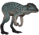 ben