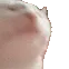 SCcatVIBINGfast2
