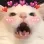 catomg