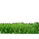 touchgrass