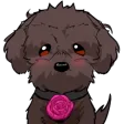 piper