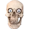 skull4