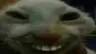 xdd