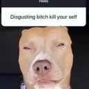 10526464373867151861