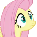 FlutterWhatJustHappened