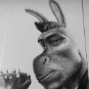 donkey donkey