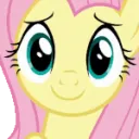 FlutterApplaud