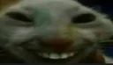 xdd