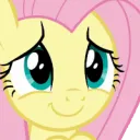 FlutterPleading