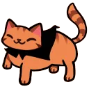 CatCostume