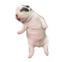THEspecimen