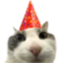 Cat Party Cat_Party Discord Emoji