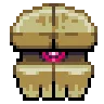 mon_octotle_stare