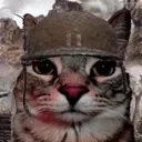 1000yrdmeow