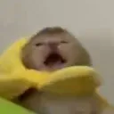 AAAAA