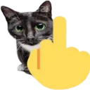 cat_midfinger