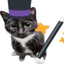 cat_magic