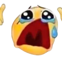 D_Noooo D_Noooo