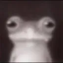 stare