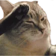 aprikSalute