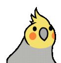 :PartyCockatiel2: