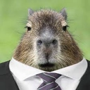 2304capybaralawyer