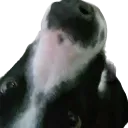 emoji_5