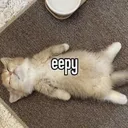 eepy