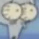 SquidWhat