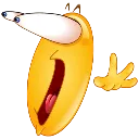 cocashook cocashook