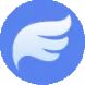 Flying_type