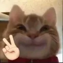 meohi