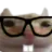 T_nerdcat