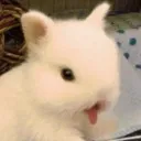 Blep