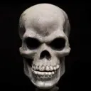 awesomefuckingskull