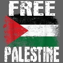 The Palestinian flag with the text FREE PALESTINE written in white distressed block letters.